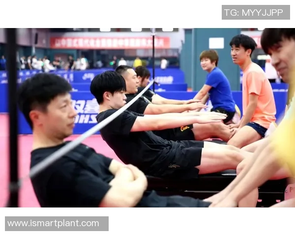 乒乓球运动的艺术魅力与科学训练在新时代体育发展中的深度融合