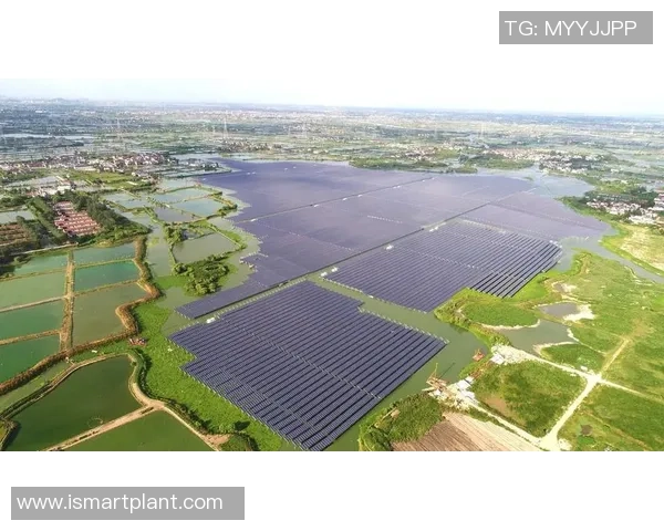 九台农商银行助力地方经济发展创新金融服务推动区域可持续增长