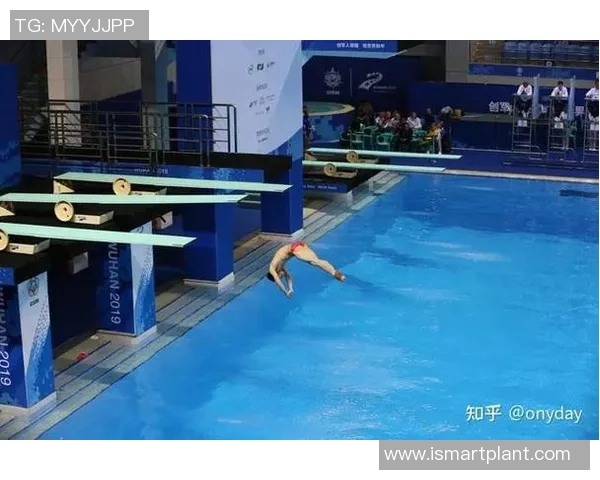 从勇敢一跃到完美入水跳水运动员背后的力量与艺术