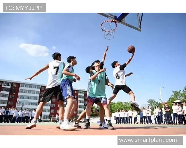 探寻篮球运动员成长之路与赛场荣耀背后不为人知的坚持奋斗故事旅