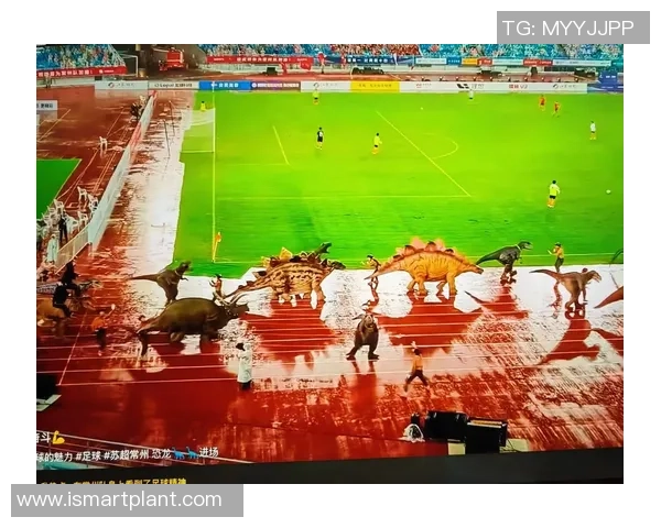 深度解读苏超足球赛场格局与各劲旅新赛季全方位竞争走势分析全景 深度解读苏超足球赛场格局与各劲旅新赛季全方位竞争走势分析全景