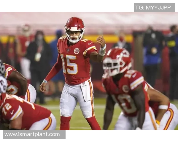 猛龙强势挑战黄蜂全力出击 谁能在这场对决中笑到最后