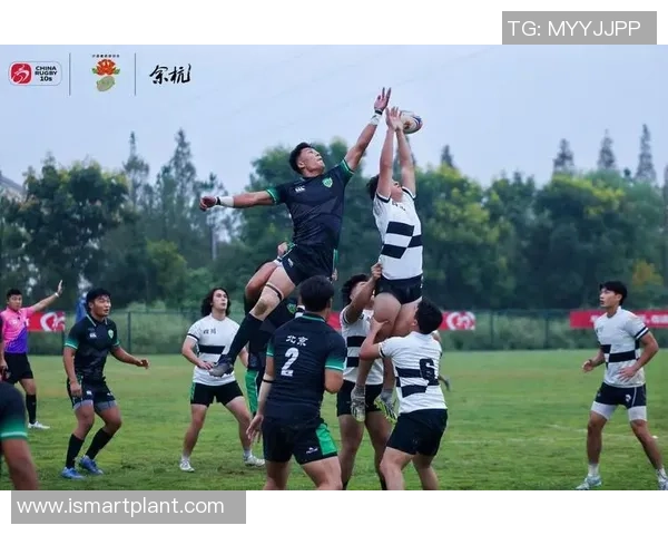 绿茵荣耀追梦之路见证激情与汗水交织的足球世界